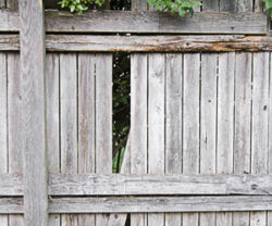 Damaged fence panel