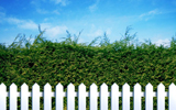 White picket fence