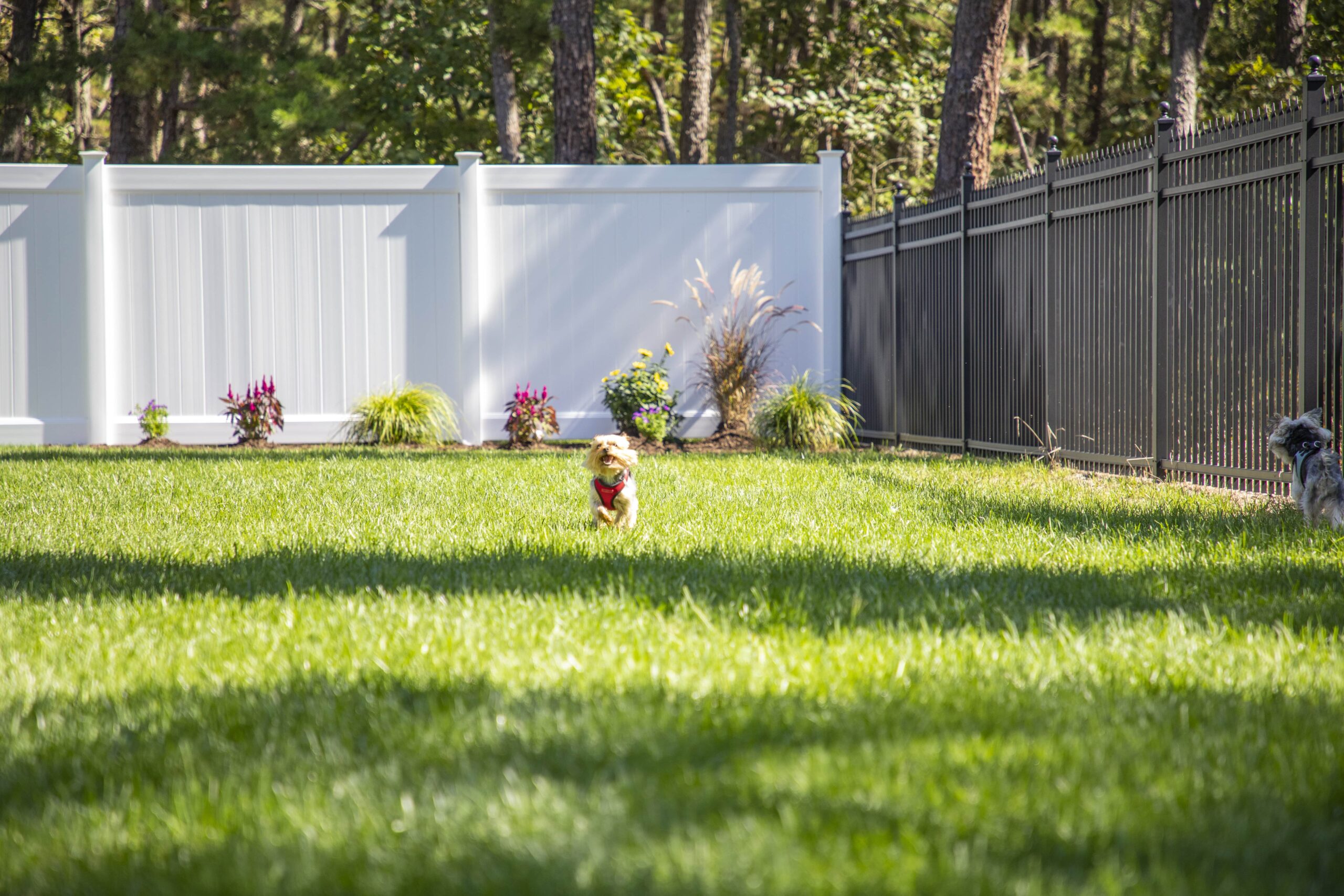 What are the best fence materials?