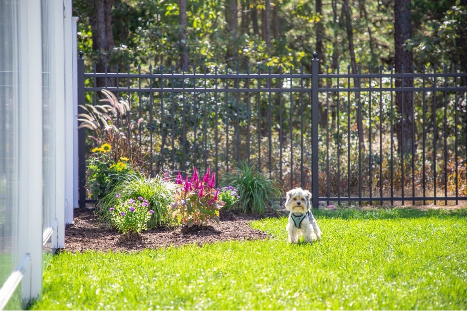 Popular Fence Styles in Connecticut Homes